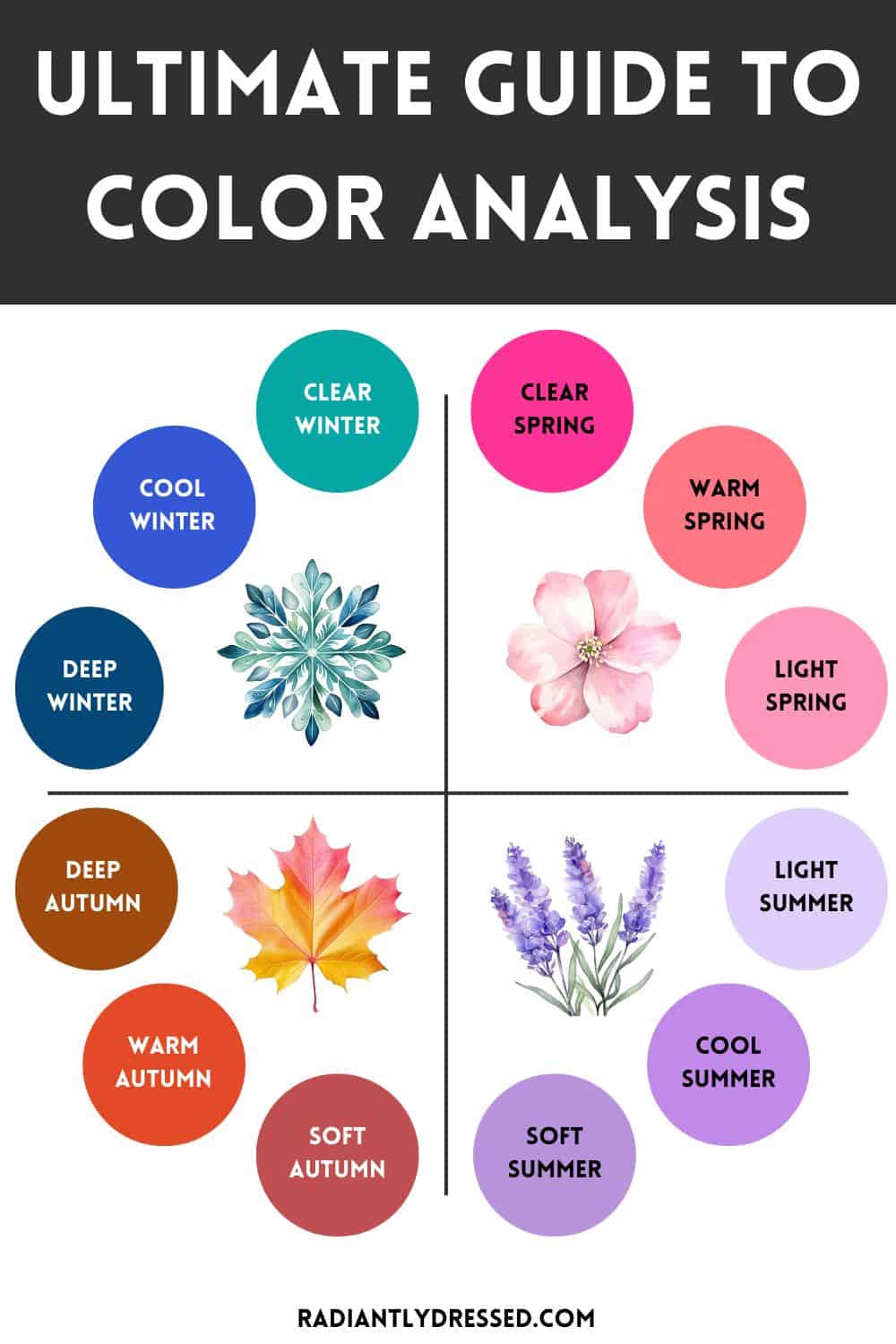 Ultimate Guide to Color Analysis: Determine Your Best Colors